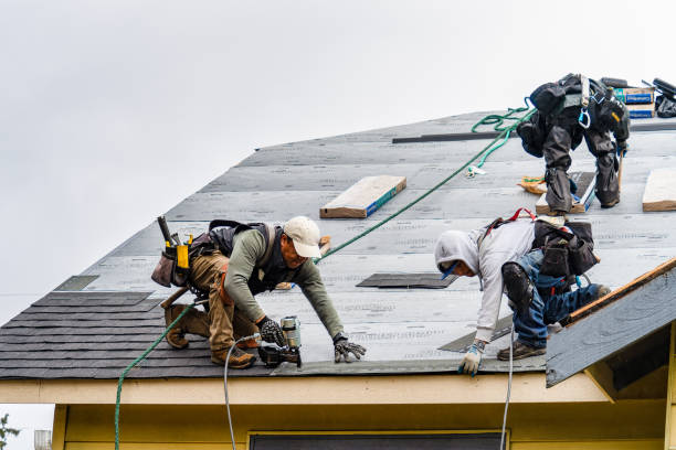 Professional Roofing technician working in Shrewsbury, MA